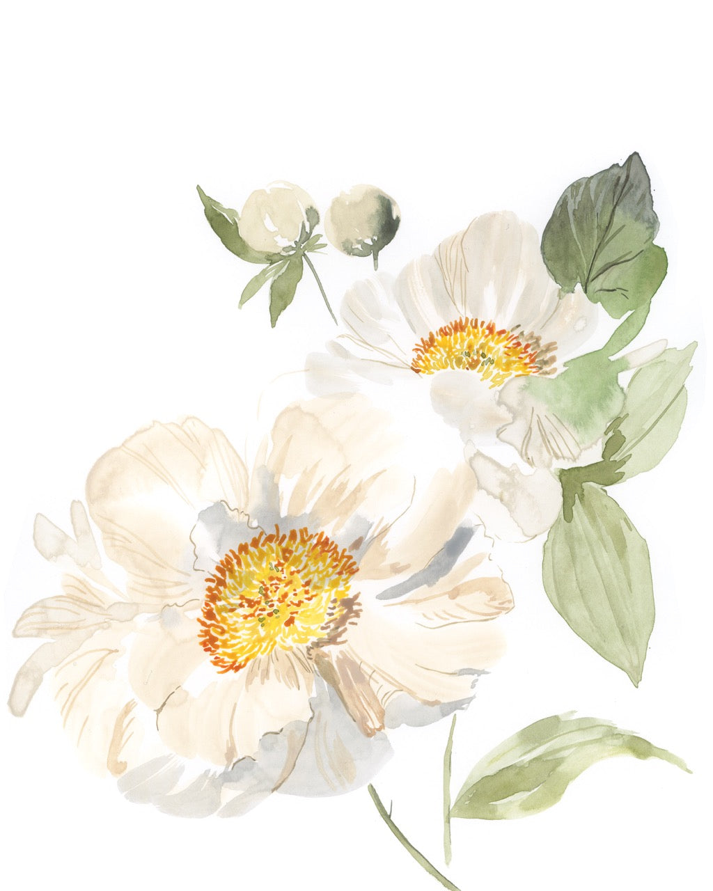 Peony Pair Art print, detailed view