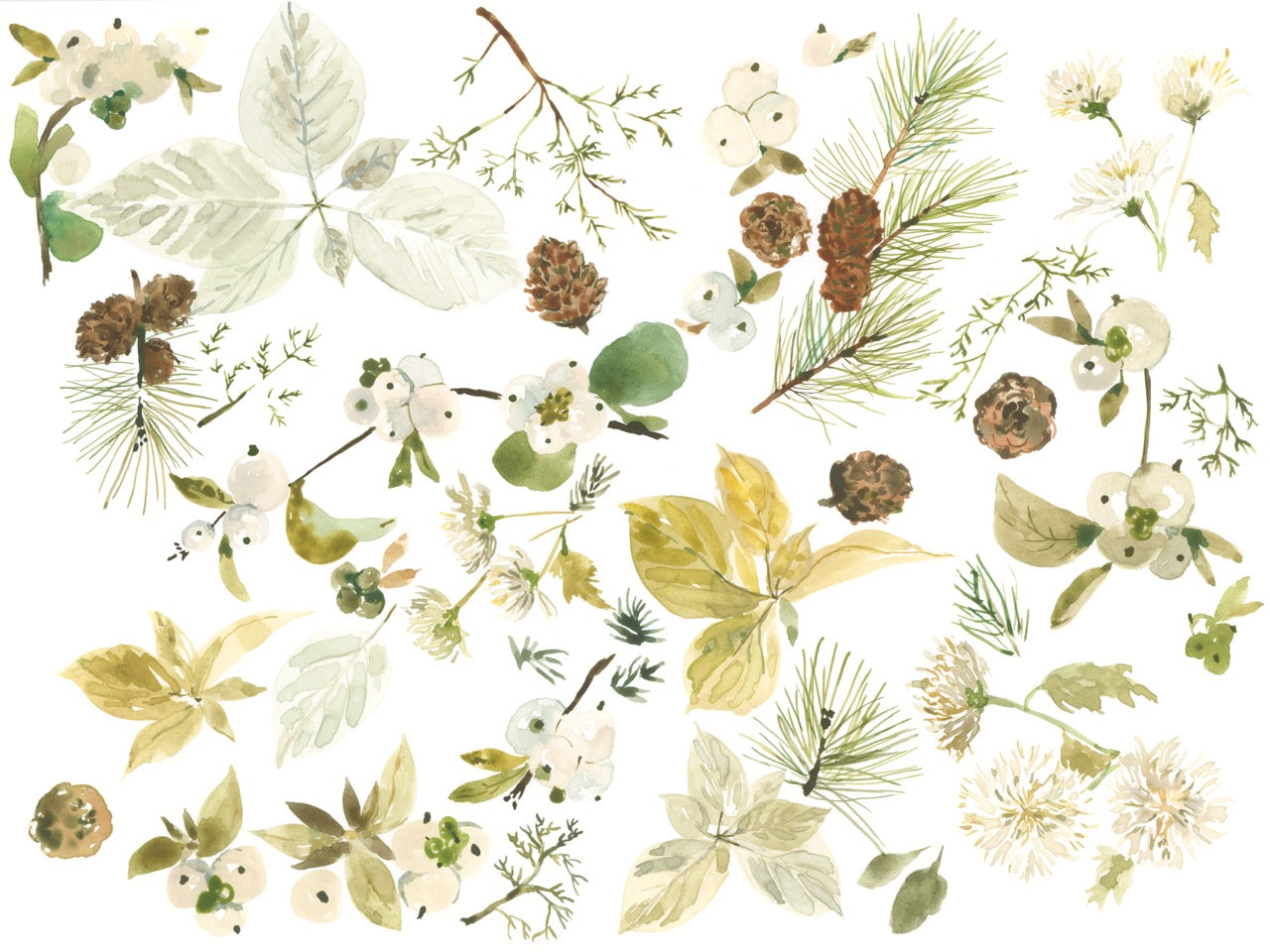 Winter Foraging