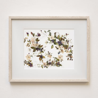 Blackberry blossoms art print,  8x10" framed with mat, landscape  view