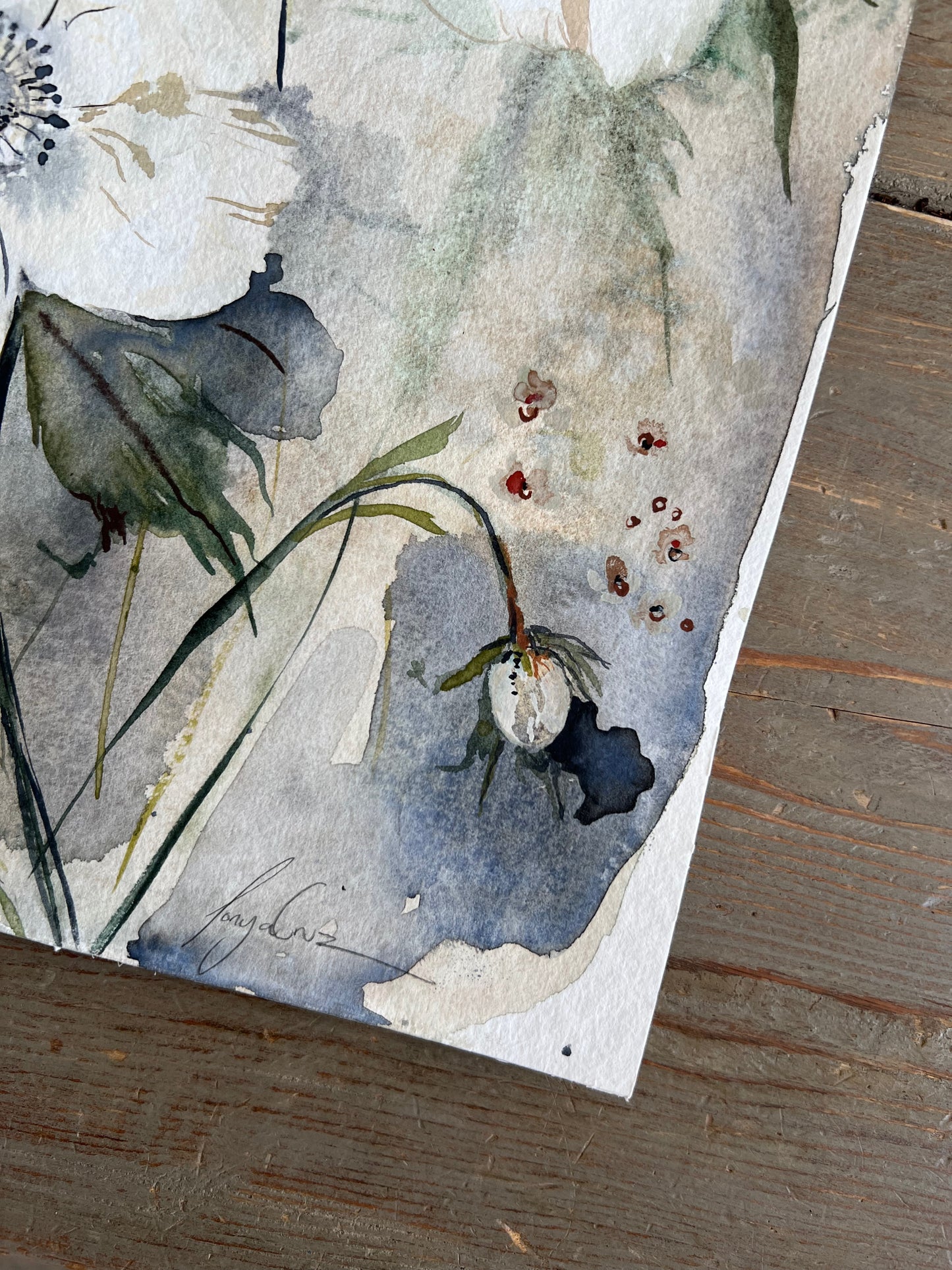 Faded Anemone (Original)