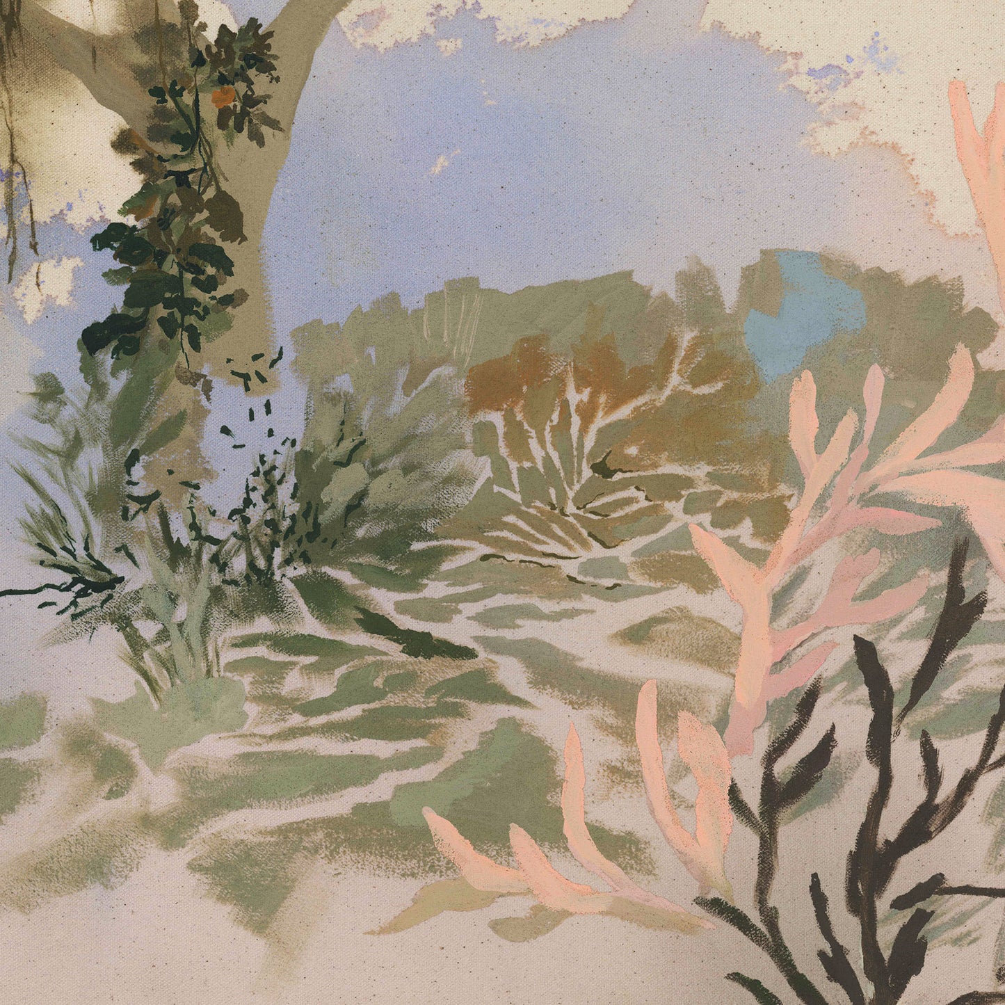 I NEVER NOTICED THE SHAPE OF THE WIND