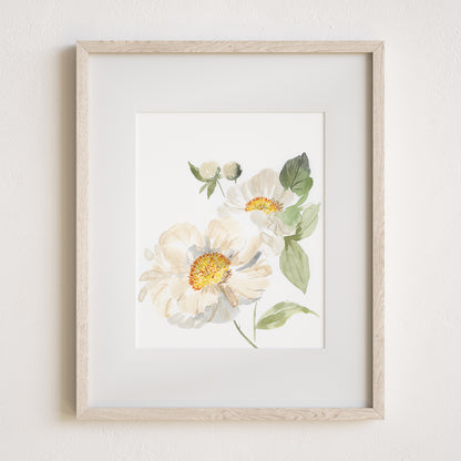 Peony Pair Art Print, 8x10" with mat and frame
