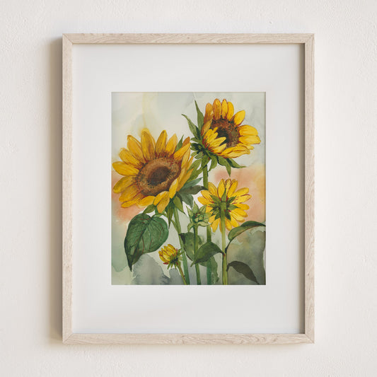 Sunflowers