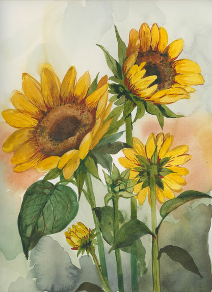 Sunflowers