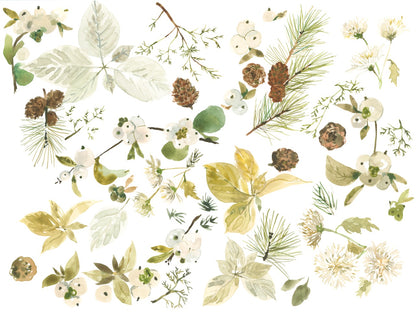 Winter Foraging